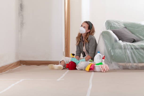 Reliable Mold Remediation contractor in Celina, TX by Cheap Mold Removal